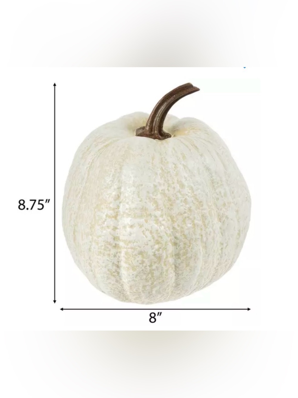 Textured  Pumpkin - Picture 5 of 5